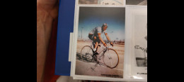 Antonino Piscaglia 10x15 Autografo Autograph Signed - Cyclisme