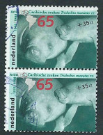 Pays Bas, Netherlands, Nederland 1988; Amsterdammer ZOO 65c+35c Trichechus Manatusa , Walrus, Tricheco. Couple Used. - Oblitérés