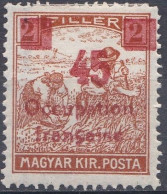 Arad Occupation Française En Hongrie Mi 16 Type II * Moissonneurs (K6) - Unused Stamps