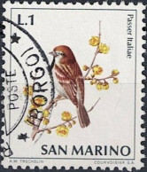 San Marino - Italiensperling (Passer Italiae) (MiNr: 1003) 1972 - Gest Used Obl - Used Stamps