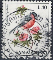 San Marino - Dompfaff (Pyrrhula Pyrrhula) (MiNr: 1008) 1972 - Gest Used Obl - Used Stamps