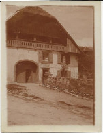 FONTAINES SUR GRANDSON SUISSE PHOTO 12 X 8 MAISON F.OBRECHT  TAILLEUR - Grandson