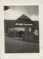 FONTAINES SUR GRANDSON SUISSE PHOTO 12 X 8 MAISON F.OBRECHT  TAILLEUR - Grandson