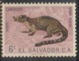 1963 EL SAVADOR STAMP USED On Wild Life/	Nasau Narica/White-nosed Coati - Rodents