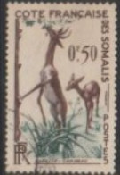 1958 FRENCH SOMALI COST STAMP USED On Wild Life/Litocranius Walleri /The Gerenuk Also Known As The Giraffe Gazelle - Jirafas