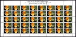 Bulgaria 2022 - 550th Birth Anniversary Of Lucas Cranach The Older - SHEET MNH - Ungebraucht