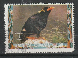 Umm Al Qiwain 1972  Uccelli Birds - Southern Hill Myna (Gracula Indica) CTO - Cernícalo