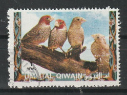 Umm Al Qiwain 1972  Uccelli Birds -Fringuello Dalla Testarossa Red-headed Finch (Amadina Erythrocephala) CTO - Passeri