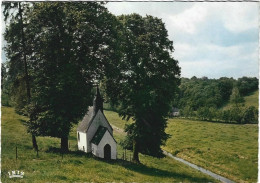 BEAUMONT Tour Salamandre Chapelle St Julien - Beaumont