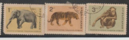 1966 BULGARIA STAMP USED On - Sofia City Zoo/Elephant,Tiger,Chimpanzee - Cows