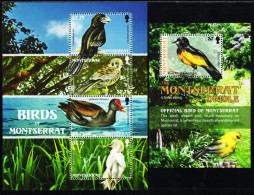 Montserrat - 2009 - Birds Of Montserrat - Mint Stamp Sheetlet + Mint Souvenir Sheet - Montserrat