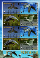 Montserrat - 2010 - WWF - Birds - Reddish Egret - Mint Miniature Stamp Sheet - Montserrat