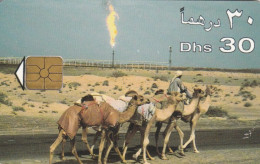 PHONE CARD EMIRATI ARABI (PY2521 - United Arab Emirates