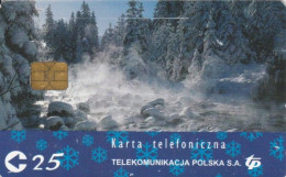 PHONE CARD POLONIA CHIP (PY1919 - Polonia