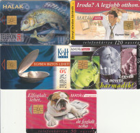 5 PHONE CARDS UNGHERIA (PY2643 - Hongarije