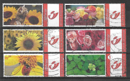 Set Flora Bloenen Fleurs - Afgestempeld