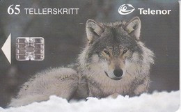 TARJETA DE NORUEGA DE UN LOBO  (WOLF-LOBO) - Noruega