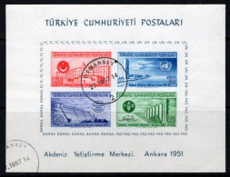 1952 TURKEY UN MEDITERRANEAN ECONOMIC INST. CENTER F.A.O. SOUVENIR SHEET USED - Blocks & Sheetlets