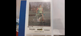 Fabiano Fontanelli 10x15 Autografo Autograph Signed - Cyclisme