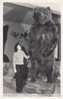 Alaskan Brown Bear Taxidermy, University Of Alaska Museum Display C1950s Vintage Real Photo Postcard - Ours