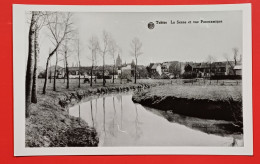 TUBIZE,  CARTE PHOTO GEVAERT / LA SENNE ET VUE PANORAMIQUE - Tubize