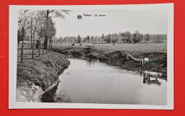 TUBIZE,  CARTE PHOTO GEVAERT / LA SENNE - Tubize