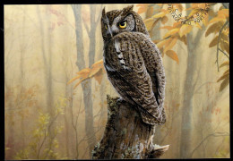 CANADA(1998) Eastern Screech Owl. International Postage Paid Postal Card . - 1953-.... Règne D'Elizabeth II