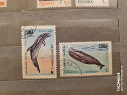 1984	Cuba	Fishes (F75) - Used Stamps