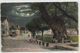 Lutry Arbre Avec Fonraine Tram Pleine Lune - Lutry