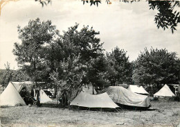 83 , COGOLIN , Le Camping , * M 28 37 - Cogolin