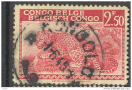 _Ob523:  KONGOLO - Used Stamps