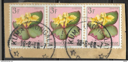_Kh-670:  KUMA(MONGOLA)  .. - Used Stamps