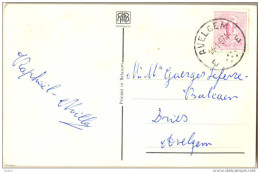 4Cp-250: Nieuwjaarskaartje Met N° 859: E AVELGEM E 1967 > Avelgem - 1951-1975 Heraldischer Löwe (Lion Héraldique)