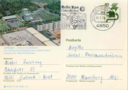 130  Girafe: Flamme D'Allemagne, 1976 - Giraffe, Gelsenkirchen Zoo: Slogan Cancel From Germany - Giraffes