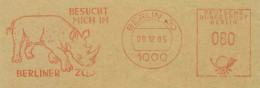 130  Rhinocéros, Zoo: Ema D'Allemagne, 1985 - Rhinoceros Meter Stamp From Berlin, Germany - Rhinozerosse