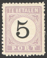 Suriname 1886-1888 Port 2 Type I Ongebruikt/MH Cijfer In Zwart, Tax, Taxe - Suriname ... - 1975