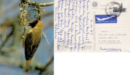 SOUTH AFRICA 1985  AIRMAIL POSTCARD SENT TO BERLIN - Cartas & Documentos