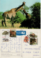 SOUTH AFRICA 2001  AIRMAIL POSTCARD SENT TO TARP - Covers & Documents