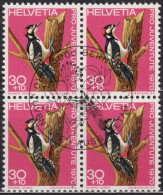 1970 Schweiz Pro Juventute ET ° Zum: CH J234, Mi: CH 938, Grosser Buntspecht, Einheimische Vögel - Pics & Grimpeurs