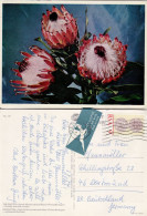 SOUTH AFRICA 1974  AIRMAIL  POSTCARD SENT TO DORTMUND - Cartas & Documentos