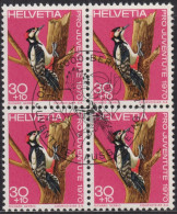 1970 Schweiz Pro Juventute ET ° Zum: CH J234, Mi: CH 938, Grosser Buntspecht, Einheimische Vögel - Piciformes (pájaros Carpinteros)