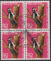 1970 Schweiz Pro Juventute ET ° Zum: CH J234, Mi: CH 938, Grosser Buntspecht, Einheimische Vögel - Piciformes (pájaros Carpinteros)