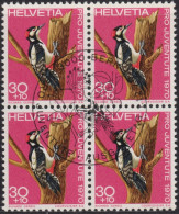 1970 Schweiz Pro Juventute ET ° Zum: CH J234, Mi: CH 938, Grosser Buntspecht, Einheimische Vögel - Piciformes (pájaros Carpinteros)