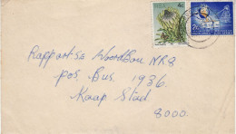 SOUTH AFRICA 1979  AIRMAIL  LETTER SENT TO KAAP STAD - Cartas & Documentos