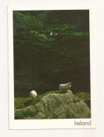 FA45 - Postcard - IRELAND - Landscape, Uncirculated - Autres & Non Classés