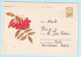 USSR 1964.0731. Rowan Berries. Prestamped Cover, Used - 1960-69