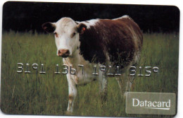 Carte Spécimen Démonstration  DATACARD France Card Karte (F 541) - Badge Di Eventi E Manifestazioni