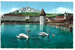 KAPELLBRUCKE UND PILATUS.-  LUCERNA - LUZERN.-  ( SUIZA ) - Lucens