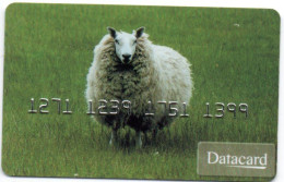 Carte Spécimen Démonstration  DATACARD France Card Karte (F 553) - Beurskaarten