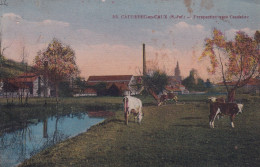 CAUDEBEC EN CAUX(VACHE) - Caudebec-lès-Elbeuf